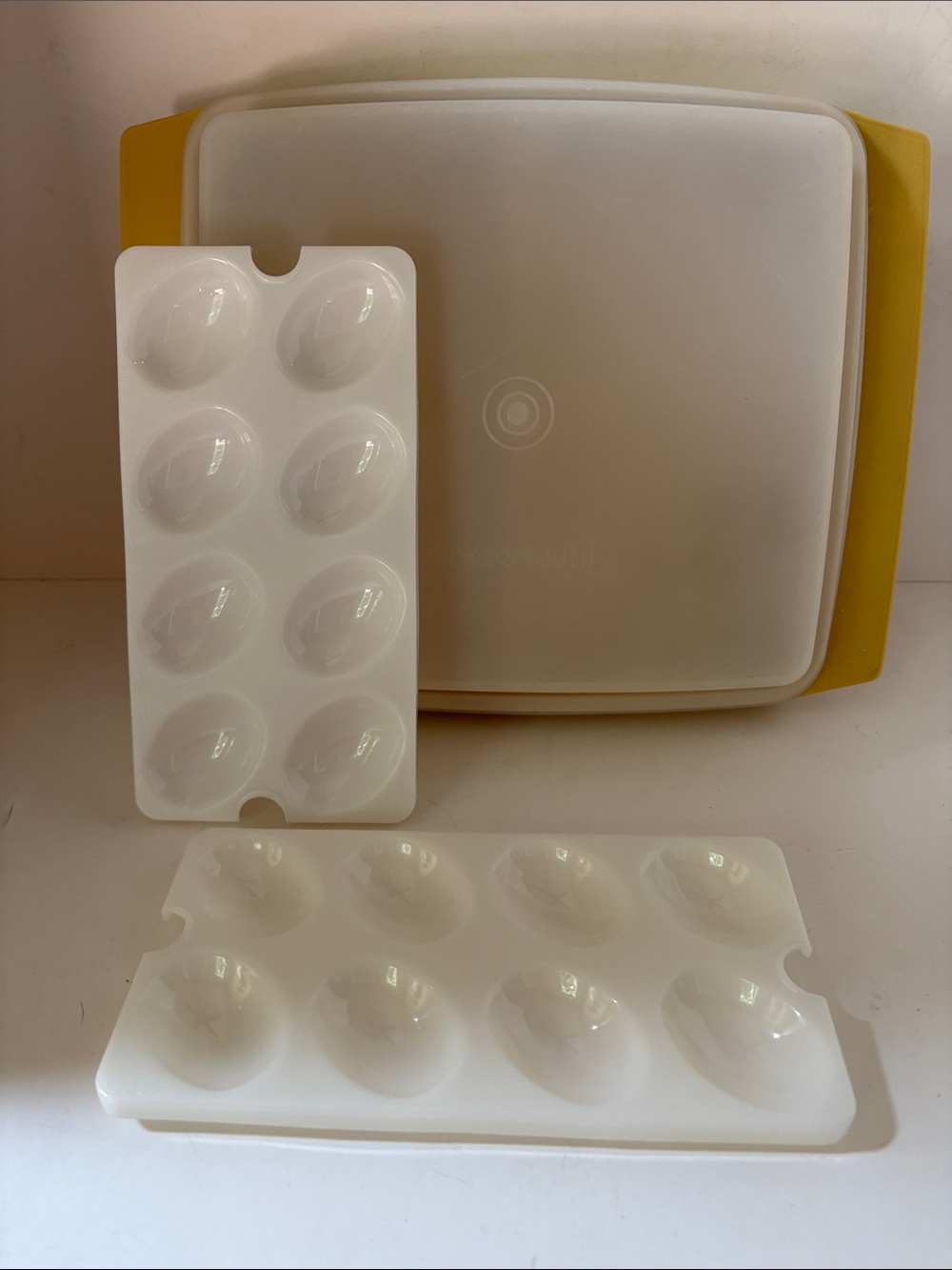 Egg Tray